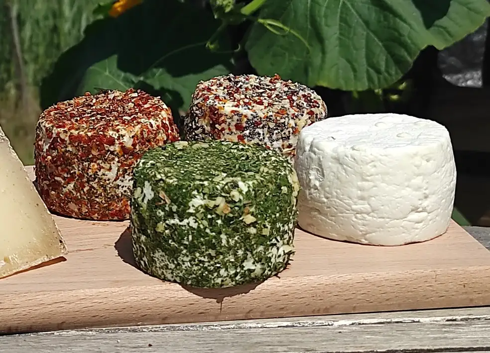 Fromage de chèvre enrobé et parfumé rond crottin